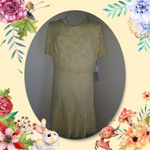 Rachel Parcell Yellow Lace Dress NWT